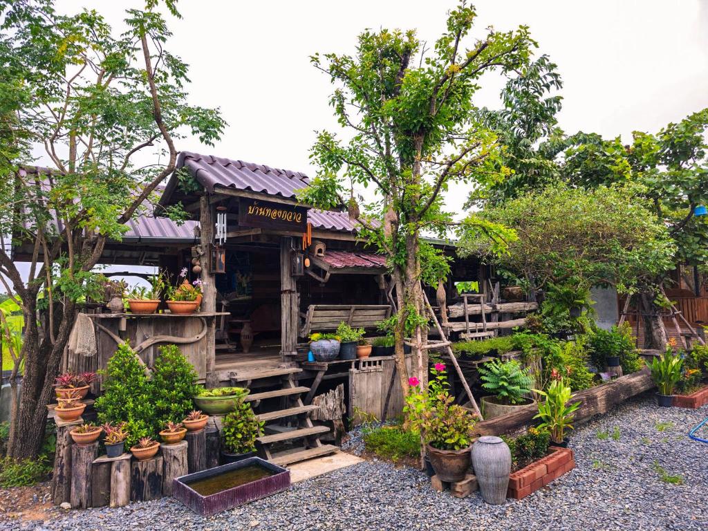 素可泰Suk Sabai Homestay的满布盆栽植物和树木的房子