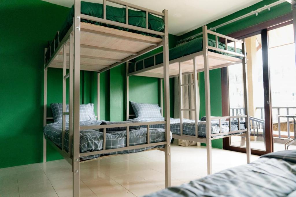 奥南海滩Aonang Knockout Hostel的带两张双层床的绿色墙壁客房