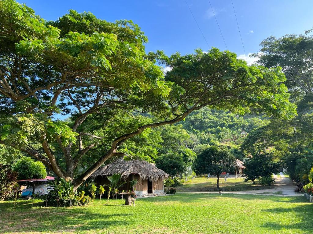 埃尔扎伊诺Tayrona Cachaco River Ecohostal的田野中的树和小屋