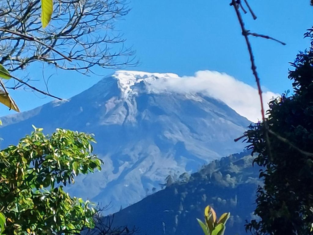 伊瓦格GLAMPING EL Mirador的雪覆盖的天空,树木覆盖的山