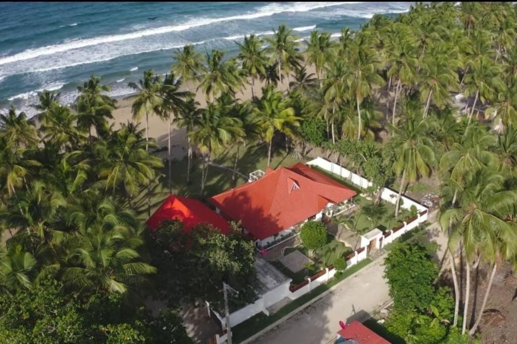 Beachfront Vacation Villa的棕榈树海滩上的房子