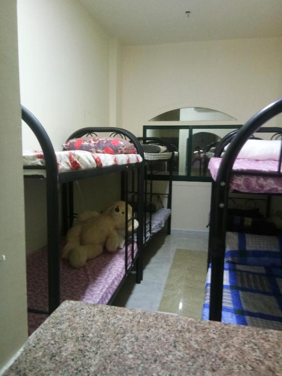 迪拜Dubai naif street Al nakhal的一间设有三张双层床的客房,地板上配有泰迪熊