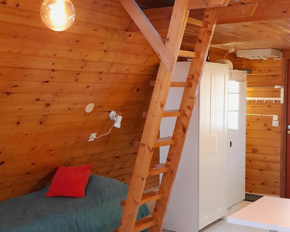 YlitornioKaremajat Cottage Resort的小木屋内的卧室,设有梯子