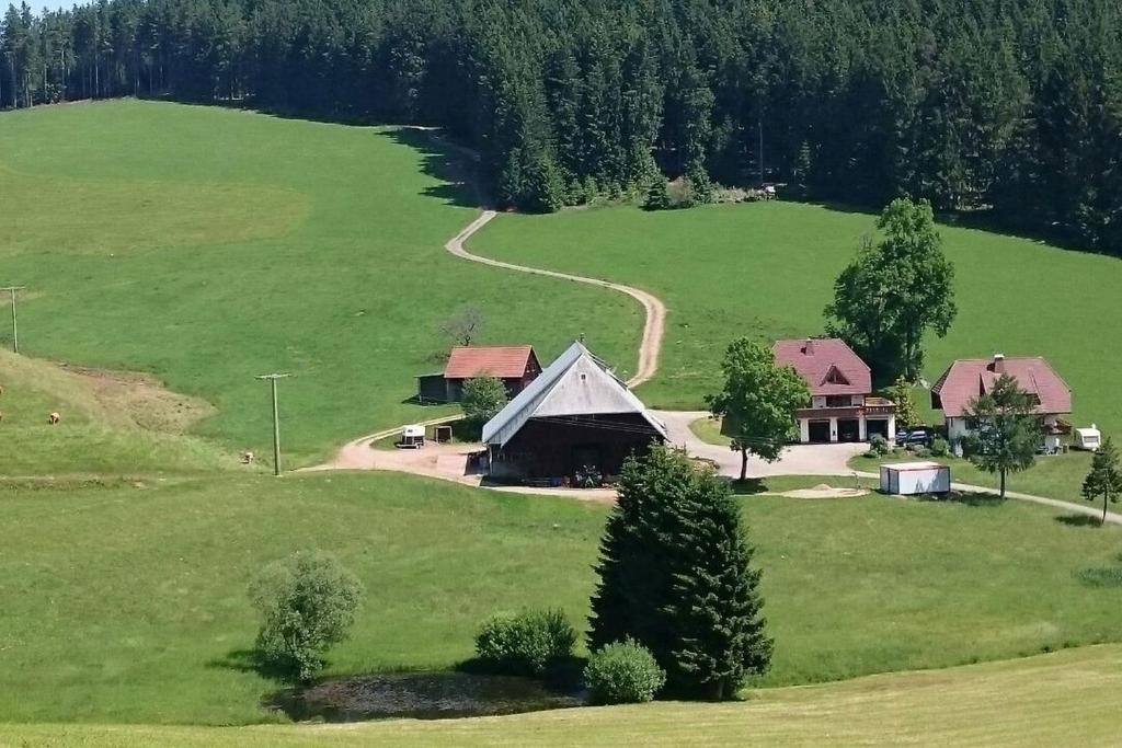 艾森巴哈Oberengenbachhof的享有大片绿地上房子的空中景色