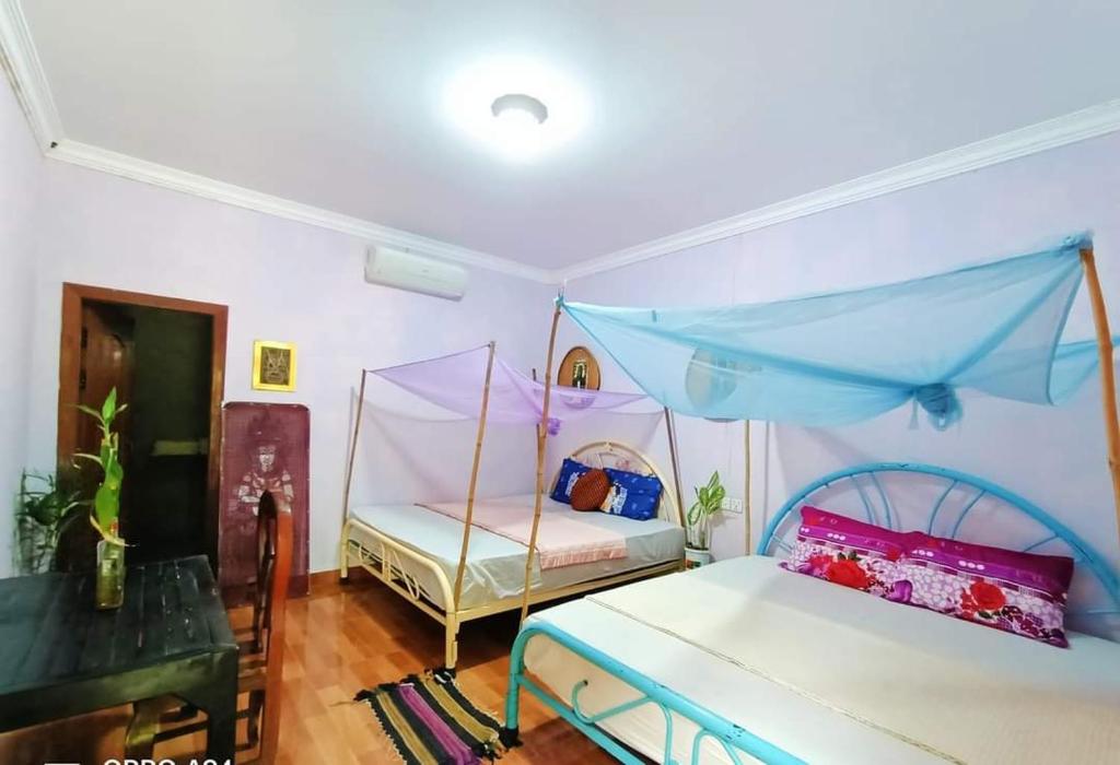 暹粒Phonluer Angkor Homestay,的一间卧室配有两张带天蓬的床