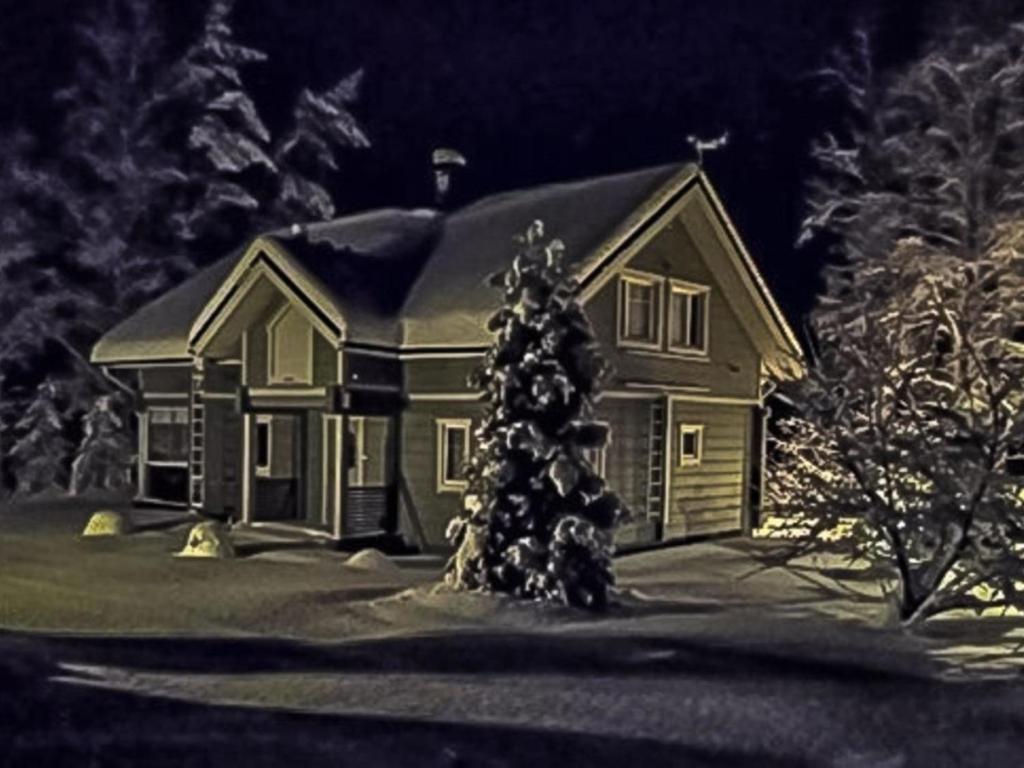 PernooHoliday Home Huvila ferdinand by Interhome的前面有圣诞树的房子