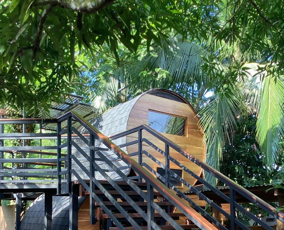 卡维塔Secret Garden的森林中一座带楼梯的圆形房屋