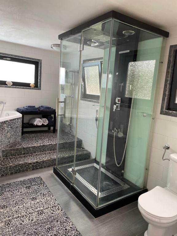 阿姆斯特丹Amster Houseboat Bed without Breakfast的一间带卫生间的浴室内的玻璃淋浴间