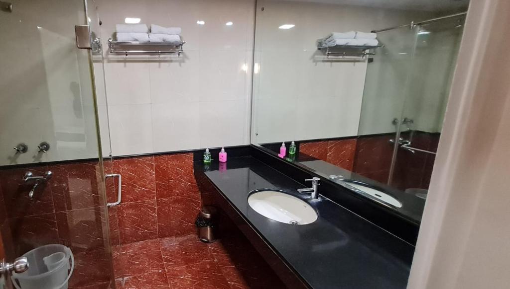 新德里Hotel Divine Admire Opp Gurudwara Sahib in Taimoor Nagar-Friends Colony的一间带水槽和镜子的浴室