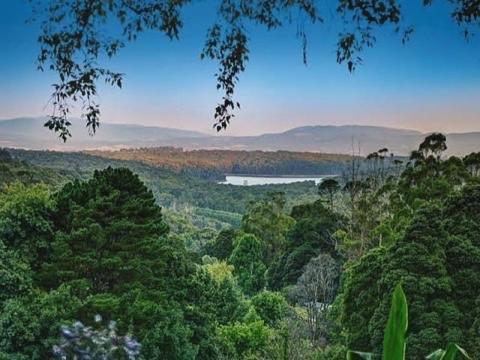 卡洛拉马Villa Panorama的享有树木林立的森林和湖泊美景