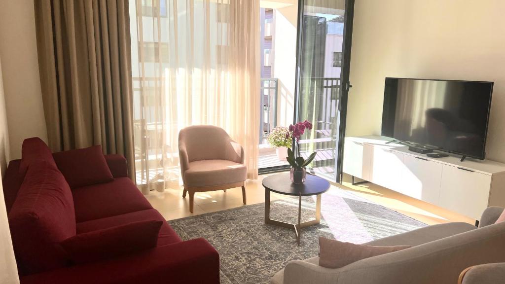 拉法洛维奇Sunraf Luxe Apartments的带沙发和电视的客厅