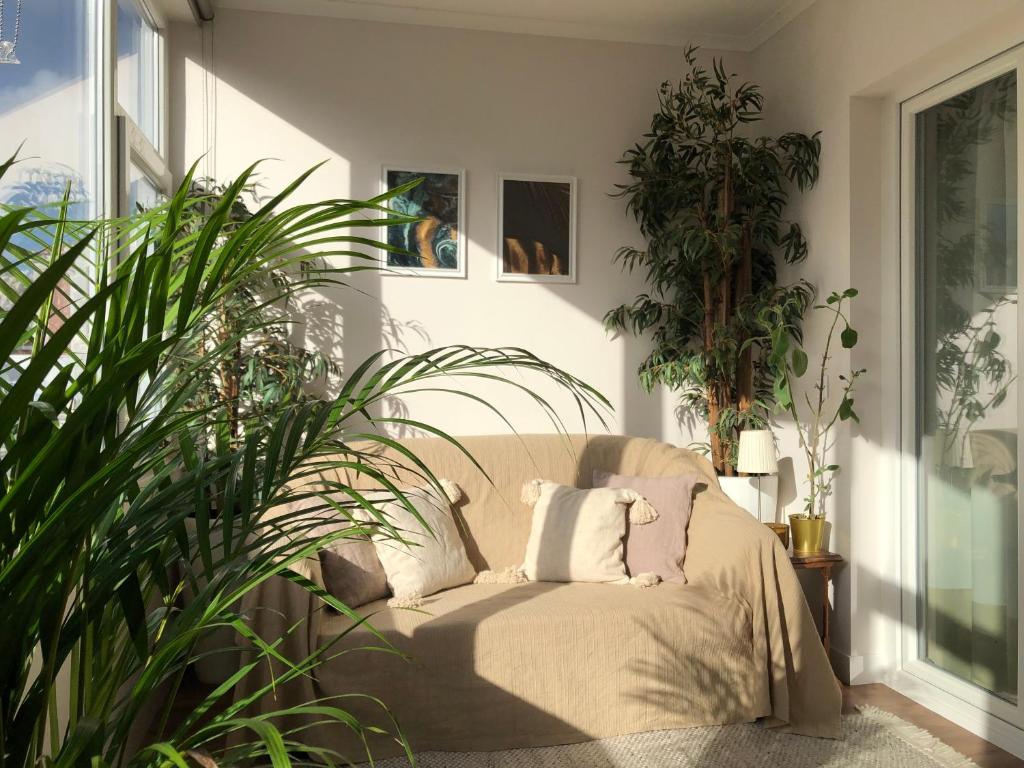 托里什韦德拉什Apartamento Torres Vedras Centro的客厅配有椅子和一些植物