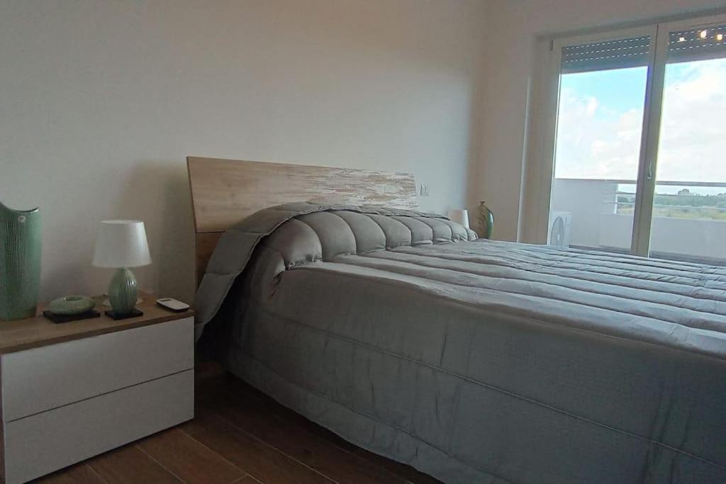 罗马Appartamento Le Vigne di Roma的一间卧室设有一张大床和大窗户