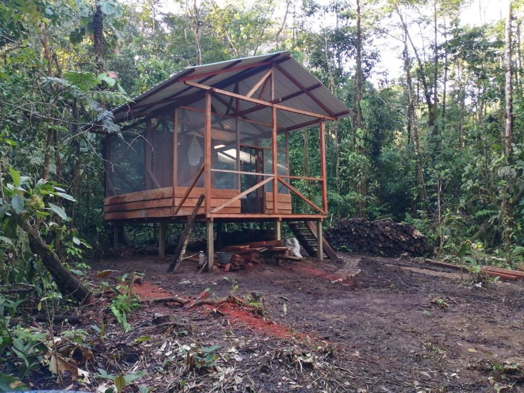 OritoCabaña Leucopternis - in the middle of Amazon forest的森林中间的树屋