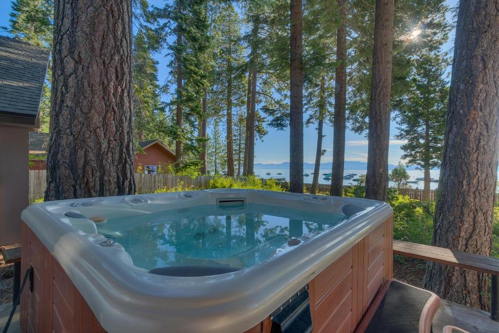 霍姆伍德Evans Lakeview- Hot Tub- Fireplace- Walk To Lake- Minutes to Homewood Resort的树木林地的按摩浴缸