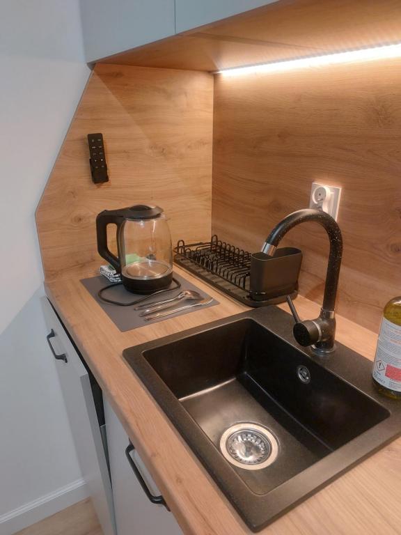 比得哥什Apartamenty Jaskółcza的厨房柜台配有水槽和茶壶