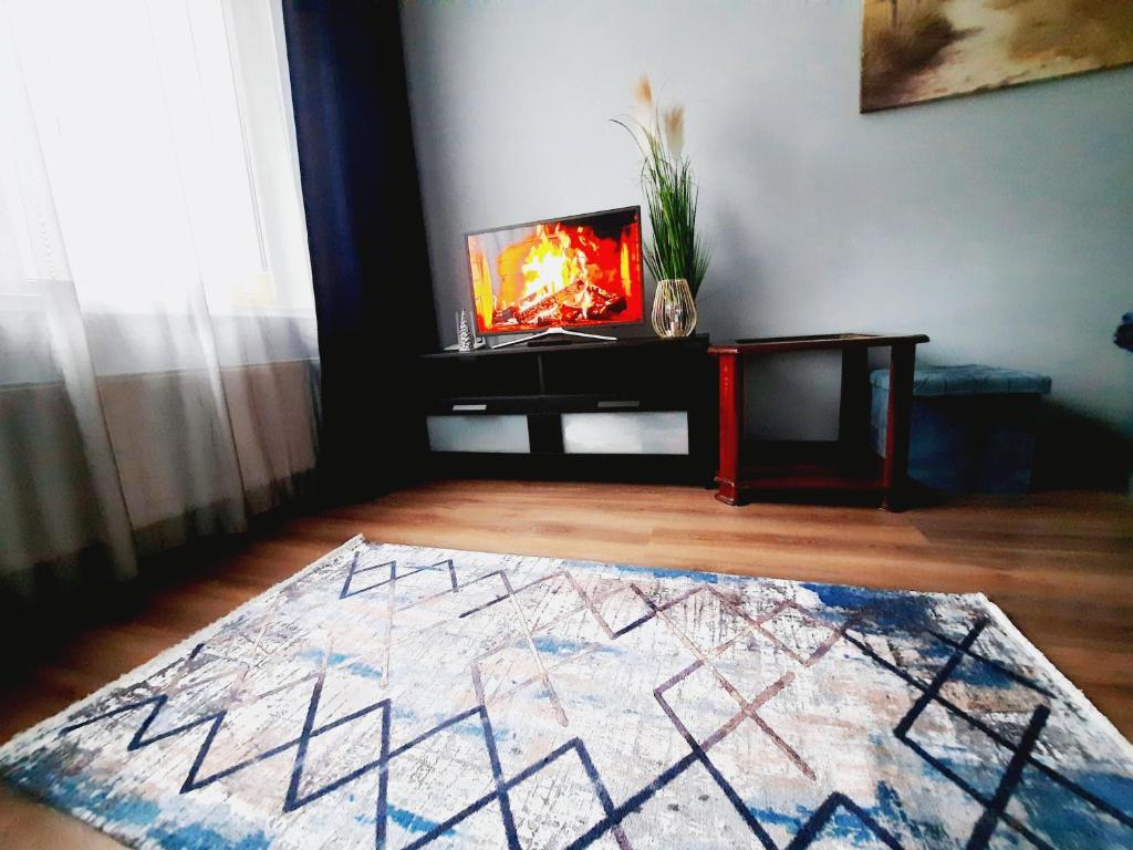 里加Light Apartment的客厅设有壁炉和地毯。