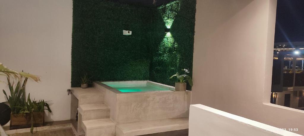 普拉亚卡门Kika Studios的带浴缸的绿色墙壁客房