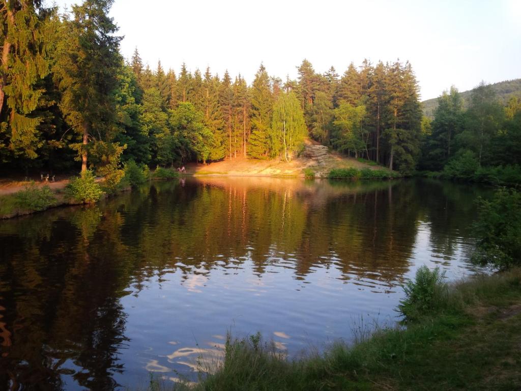 KytliceLesní chaty "Hogo Fogo"的享有树木背景的河流美景