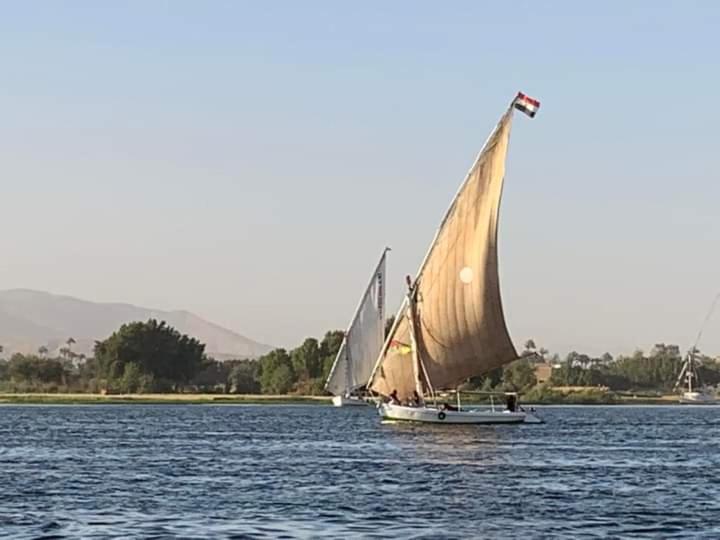 Jazīrat al ‘AwwāmīyahRose travel_trips的一艘在水面上装有大帆的船