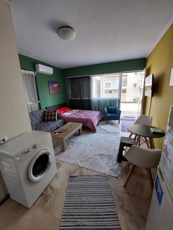 塞萨洛尼基Anastasia2 apartments的客厅配有床和洗衣机