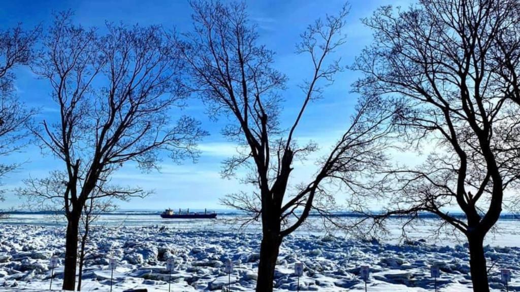 Saint-Jean普拉齐圣让木屋的两棵树,在一片白雪 ⁇ 的田野里,远处有一艘船