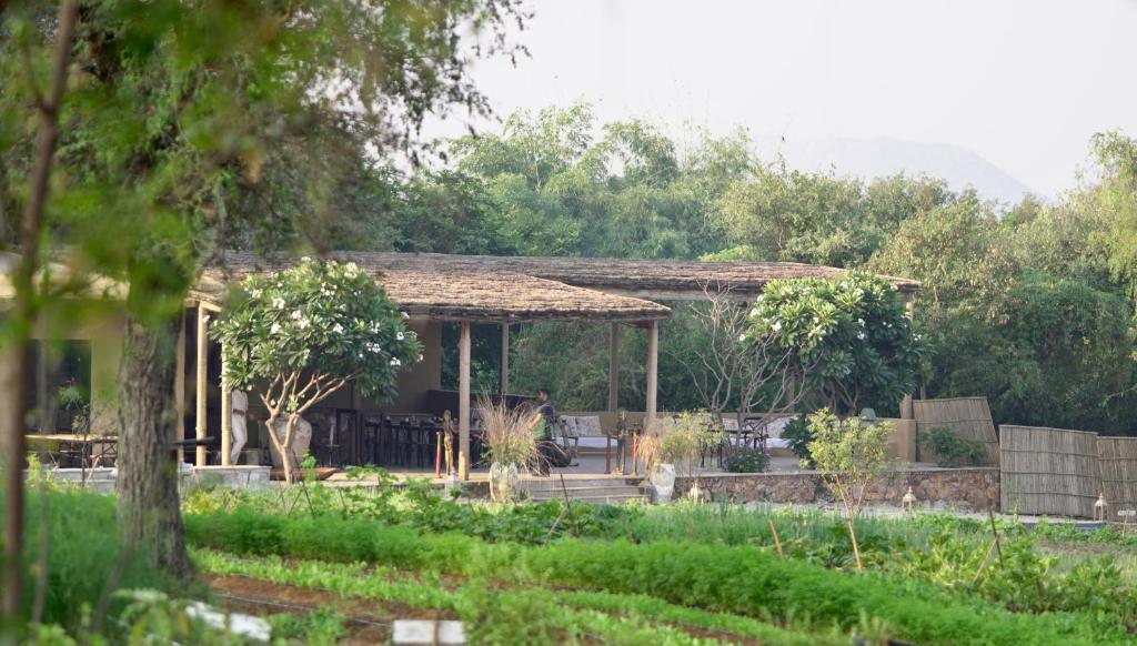 斋浦尔Anopura Jaipur的花园内带凉亭的房子