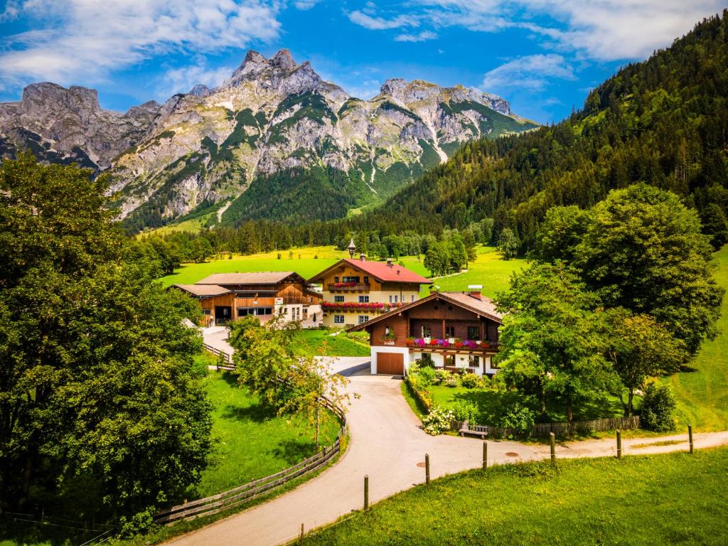 维尔芬翁堡恩霍夫沃尔德罗生态酒店的瑞士阿尔卑斯山的山村