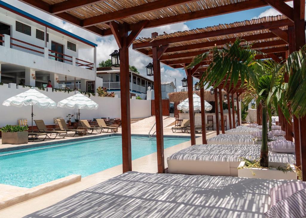 拉帕尔格拉Parguera Plaza Hotel - Adults Only的毗邻度假酒店的带椅子和遮阳伞的游泳池