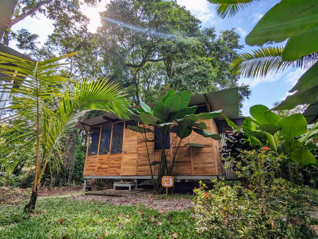乌维塔Arboura Eco Cabins的森林中间的小房子