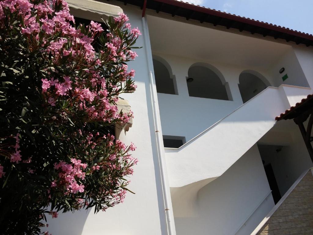 沃尔沃罗Nikos & Panagiota的白色房子,边有粉红色的花朵