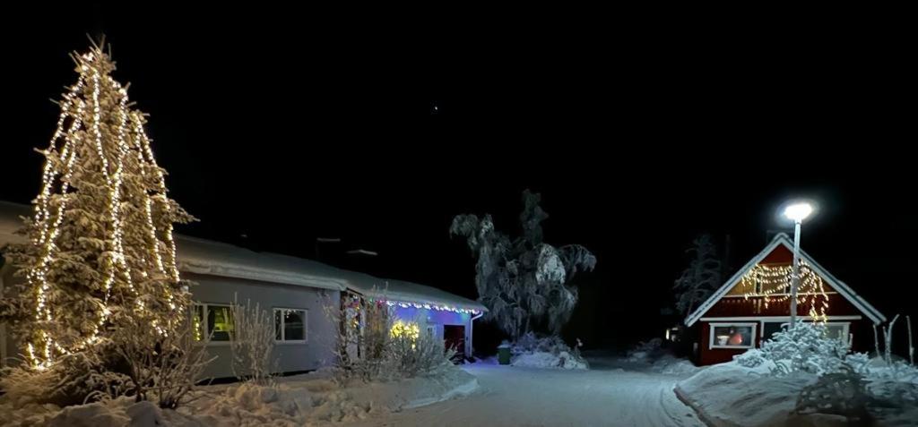 基蒂莱Talo-Villa- 3 mh+s - Kittilä - Levi upea keittiö的雪中有一棵圣诞树的房子