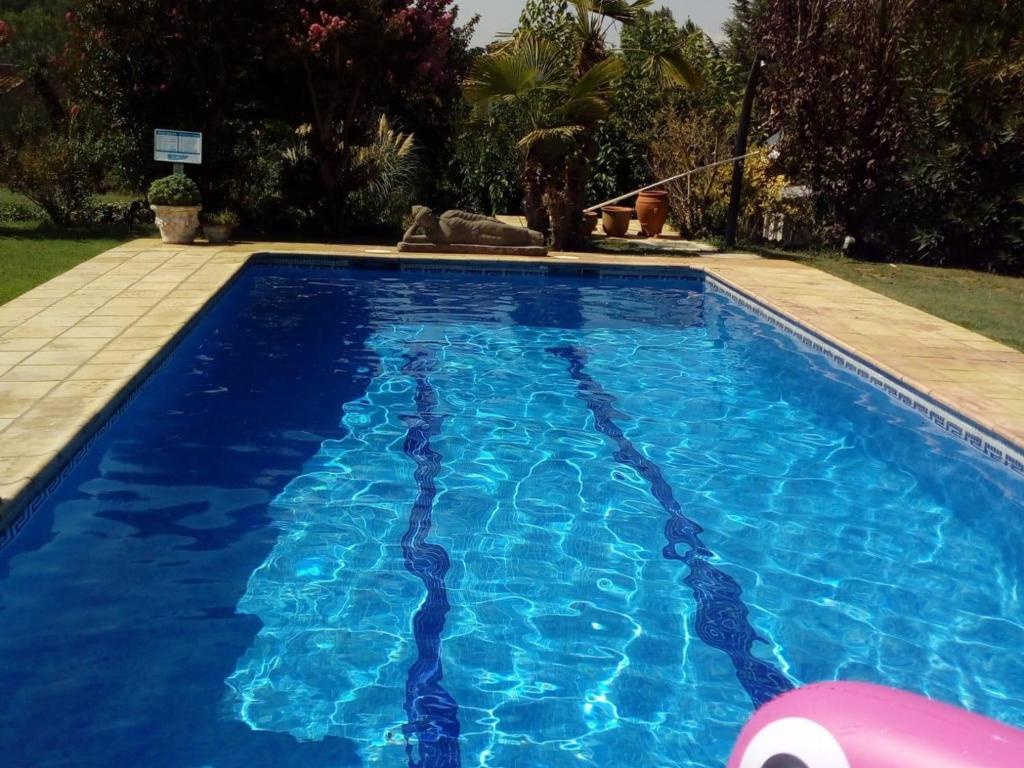 卡尔德斯德马拉维亚Casa Caldes de Malavella, 5 dormitorios, 10 personas - ES-209-37的庭院里的一个蓝色海水游泳池