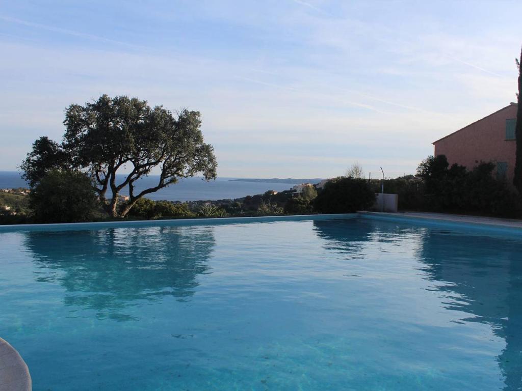 雷以桑布尔Villa Les Issambres, 3 pièces, 6 personnes - FR-1-768-21的一个大型蓝色游泳池,后面有树