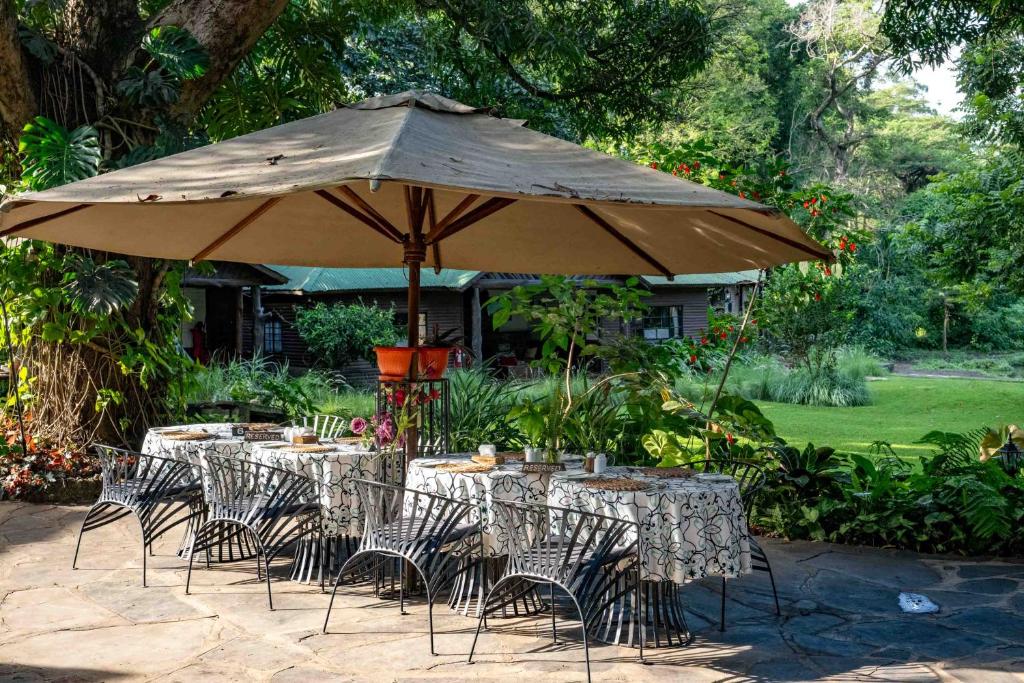 阿鲁沙Mount Meru Game Lodge & Sanctuary的一组桌子和椅子,放在伞下