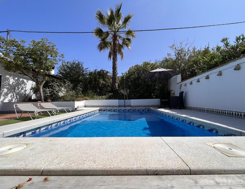 Casa Jasmin的棕榈树后院的游泳池