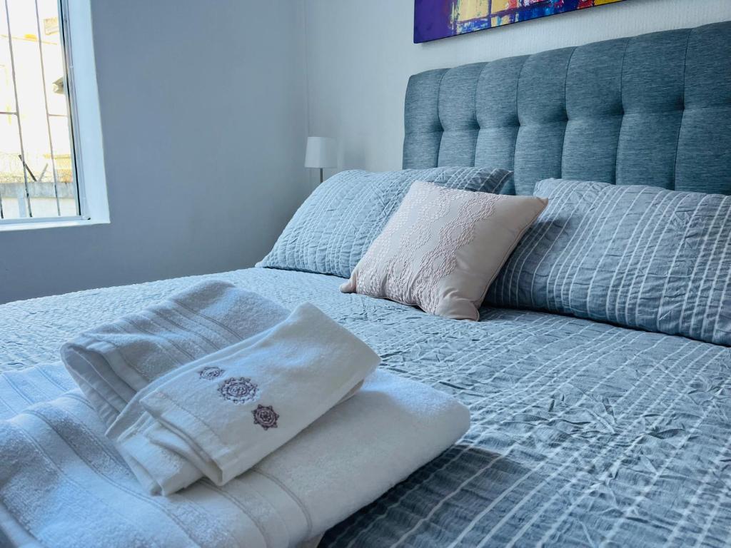 奥索尔诺Nómada Hostel Osorno的一张蓝色的床和两个枕头