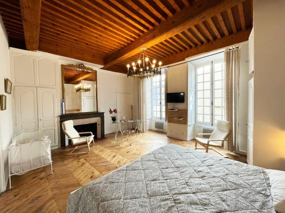 克莱蒙费朗La Flânerie Centre Historique的一间卧室设有一张大床和一个壁炉