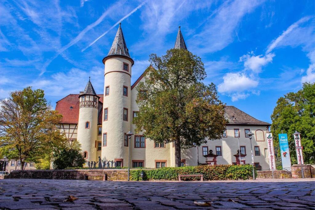 劳尔Apartment am Schloss的一座城堡,在一座建筑的顶部有两个塔楼