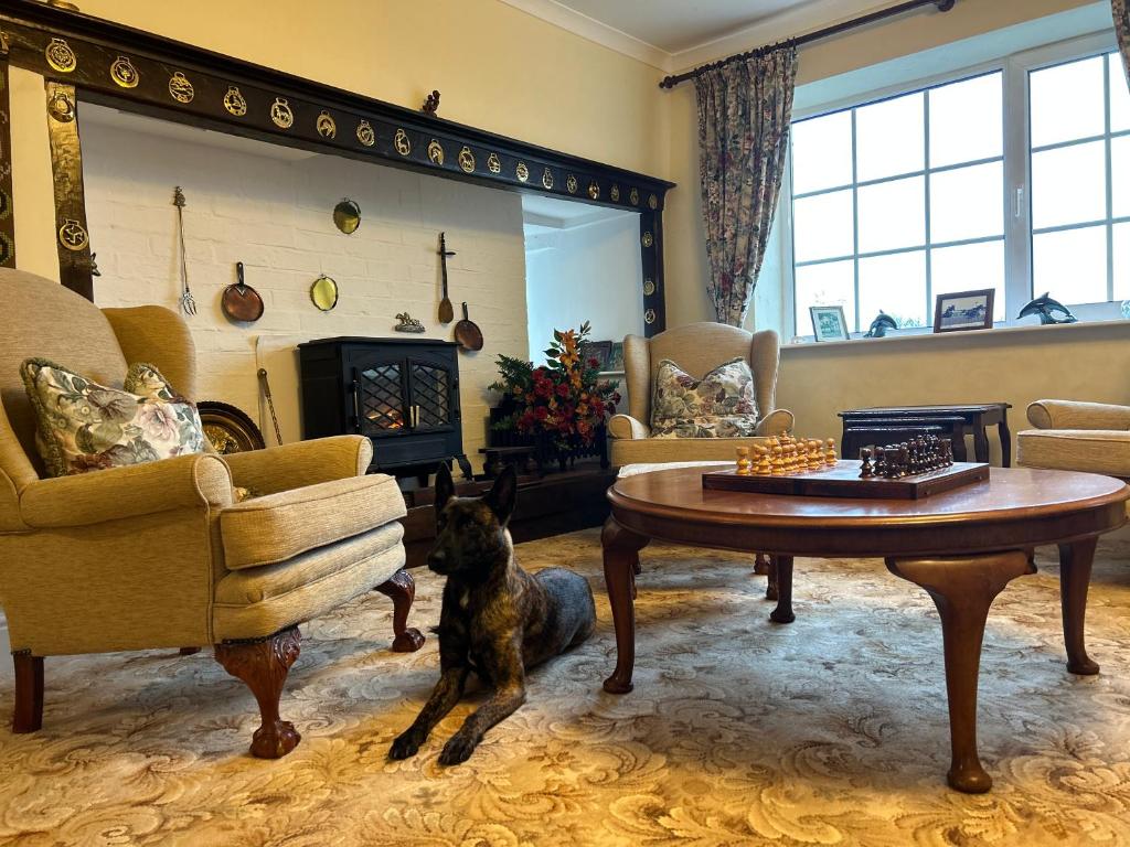 Lucy CrossLucy Cross Guest House的狗坐在客厅里,有桌子