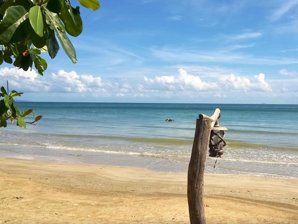 俊穆岛Room in Bungalow - Foresta Cottage of Koh Pu的海滩上的木杆与海洋