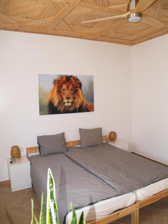 塔姆拉赫特乌兹达尔Dar Makai Surf Hotel的卧室配有一张带狮子照片的床