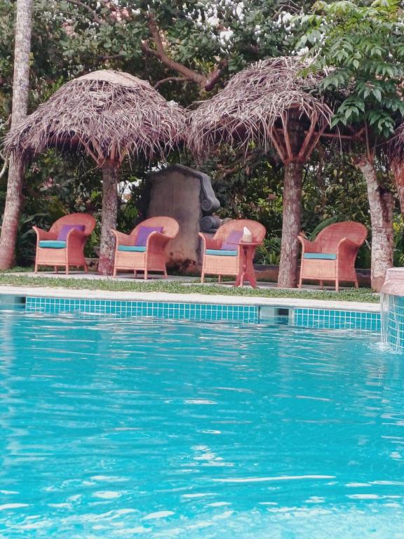马拉利库兰Marari Beach Bungalow的一组椅子坐在游泳池旁