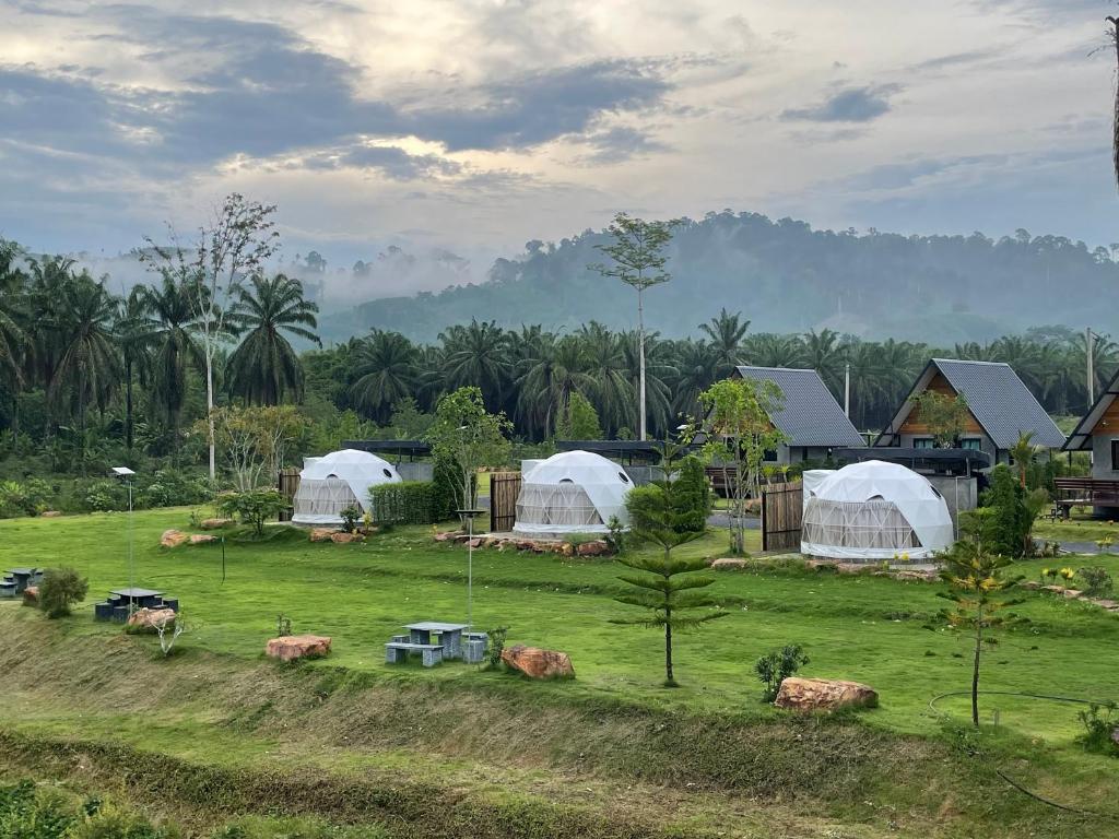 Ban Thung SangBaanrimfai Homestay的一群有牛的帐篷