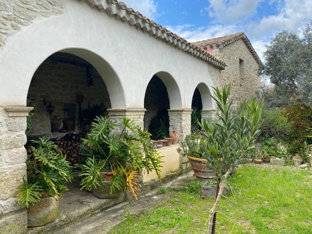 Casa tipica sarda的庭院中一座有拱门和植物的房子