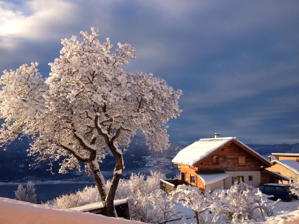 Saint-ApollinaireChalet bioclimatique avec vue sur le lac de Serre Ponçon的被雪覆盖的树,房子旁边