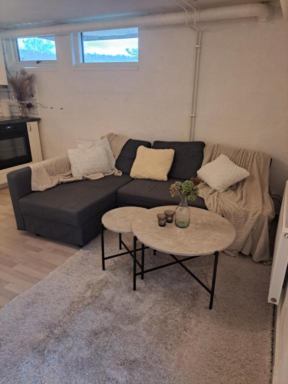 延雪平Lägenhet Huskvarna的客厅配有沙发和桌子