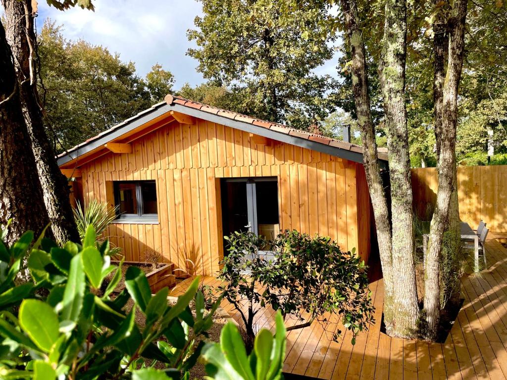 雷日卡普费雷La cabane 56 - calme - cosy - nature - sans vis-à-vis的树林中树木繁茂的小木屋