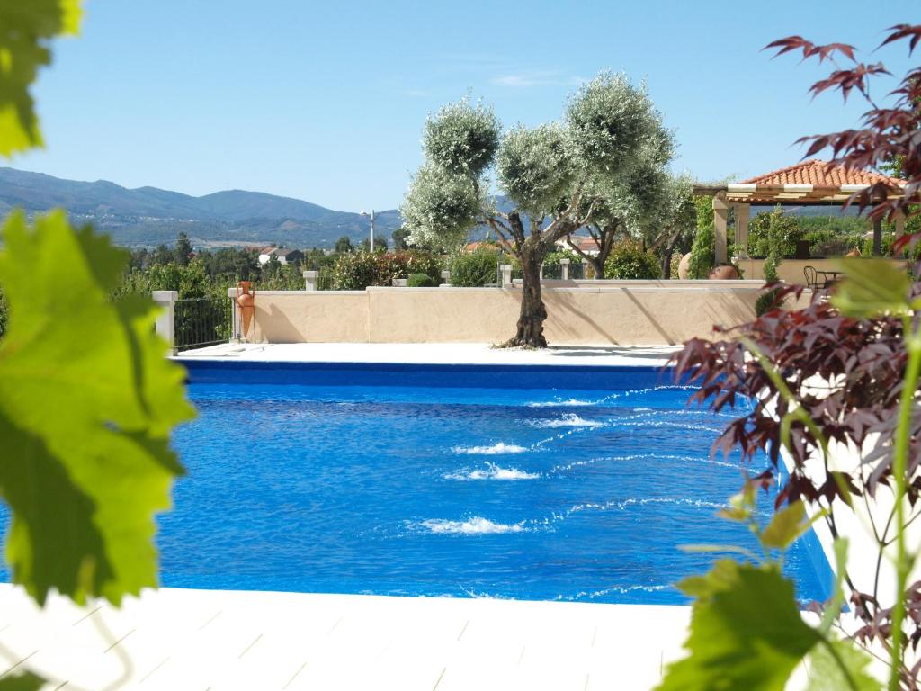 科维良Tranca da Barriga - Casa do Vinho by Quinta De São Tiago的庭院里的一个蓝色海水游泳池