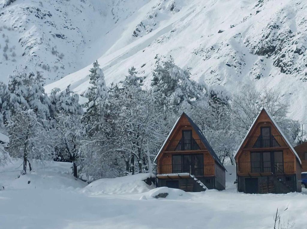 卡兹贝吉Cottage Paradise的山前雪地中的2间小屋